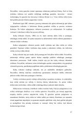 Kaštų apskaitos sistemos. Problemos analizė 17 puslapis