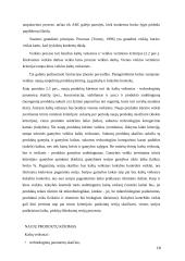 Kaštų apskaitos sistemos. Problemos analizė 19 puslapis