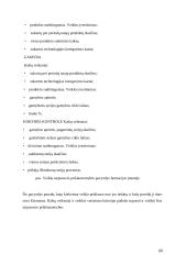 Kaštų apskaitos sistemos. Problemos analizė 20 puslapis