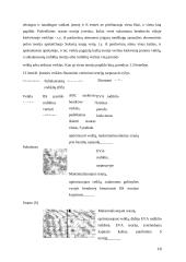 Kaštų apskaitos sistemos. Problemos analizė 10 puslapis