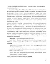 Veiklų kaštų apskaitos taikymas įmonėje  2 puslapis