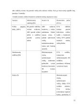 Veiklų kaštų apskaitos taikymas įmonėje  11 puslapis