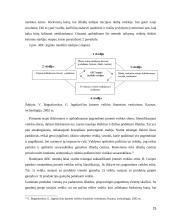 Veiklų kaštų apskaitos taikymas įmonėje  15 puslapis