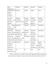 Veiklų kaštų apskaitos taikymas įmonėje  17 puslapis