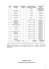 Baldų įmonės verslo planas 11 puslapis