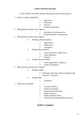 Baldų įmonės verslo planas 12 puslapis