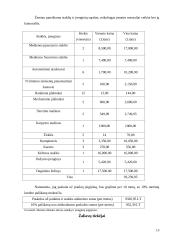 Baldų įmonės verslo planas 13 puslapis