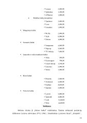 Baldų įmonės verslo planas 16 puslapis