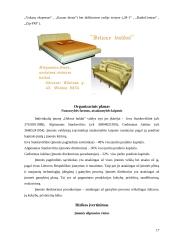 Baldų įmonės verslo planas 17 puslapis