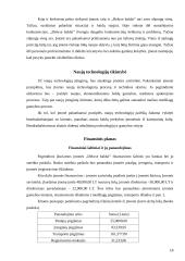 Baldų įmonės verslo planas 18 puslapis