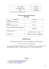 Baldų įmonės verslo planas 20 puslapis