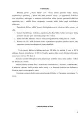 Baldų įmonės verslo planas 4 puslapis