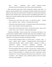  UAB “Biržų šilumos tinklai” finansinė analizė 11 puslapis