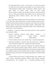  UAB “Biržų šilumos tinklai” finansinė analizė 12 puslapis