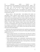  UAB “Biržų šilumos tinklai” finansinė analizė 13 puslapis