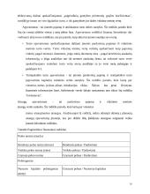  UAB “Biržų šilumos tinklai” finansinė analizė 16 puslapis