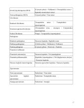  UAB “Biržų šilumos tinklai” finansinė analizė 17 puslapis