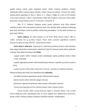  UAB “Biržų šilumos tinklai” finansinė analizė 3 puslapis