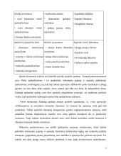  UAB “Biržų šilumos tinklai” finansinė analizė 8 puslapis