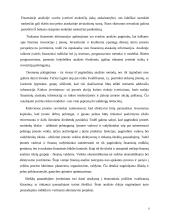  UAB “Biržų šilumos tinklai” finansinė analizė 9 puslapis