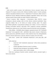 Geležinkelių transporto raidos verslo planas 2 puslapis