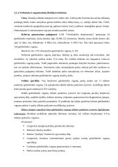 Geležinkelių transporto raidos verslo planas 11 puslapis