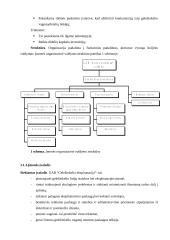 Geležinkelių transporto raidos verslo planas 12 puslapis