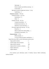 Geležinkelių transporto raidos verslo planas 14 puslapis