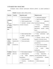 Geležinkelių transporto raidos verslo planas 15 puslapis