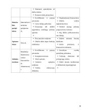 Geležinkelių transporto raidos verslo planas 16 puslapis