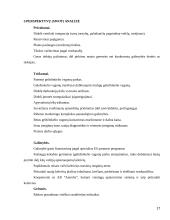 Geležinkelių transporto raidos verslo planas 17 puslapis