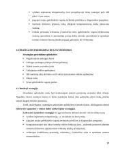 Geležinkelių transporto raidos verslo planas 19 puslapis