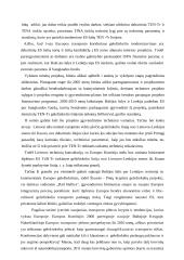 Geležinkelių transporto raidos verslo planas 4 puslapis