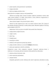 Sulčių baro veiklos verslo planas 15 puslapis