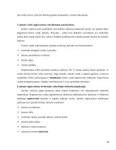 Sulčių baro veiklos verslo planas 16 puslapis