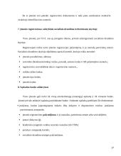 Sulčių baro veiklos verslo planas 17 puslapis