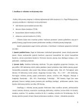 Sulčių baro veiklos verslo planas 3 puslapis