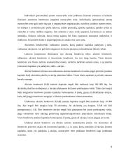 Sulčių baro veiklos verslo planas 5 puslapis