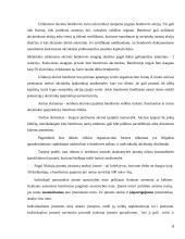 Sulčių baro veiklos verslo planas 6 puslapis