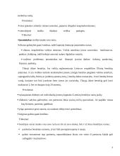 Sulčių baro veiklos verslo planas 7 puslapis