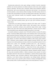 UAB „Soliaris“ plėtros verslo planas 11 puslapis