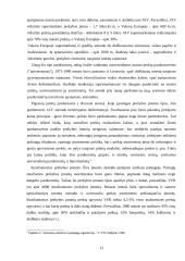 UAB „Soliaris“ plėtros verslo planas 13 puslapis