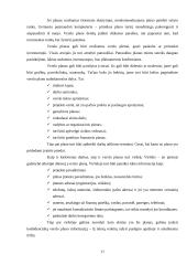 UAB „Soliaris“ plėtros verslo planas 17 puslapis