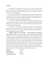 UAB „Soliaris“ plėtros verslo planas 4 puslapis