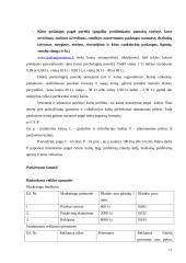 Verslo planas "www.paslaugosnamams.lt" 11 puslapis