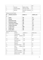Verslo planas "www.paslaugosnamams.lt" 12 puslapis