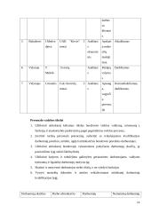Verslo planas "www.paslaugosnamams.lt" 14 puslapis