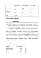 Verslo planas "www.paslaugosnamams.lt" 15 puslapis