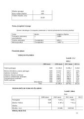 Verslo planas "www.paslaugosnamams.lt" 16 puslapis