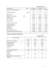 Verslo planas "www.paslaugosnamams.lt" 17 puslapis